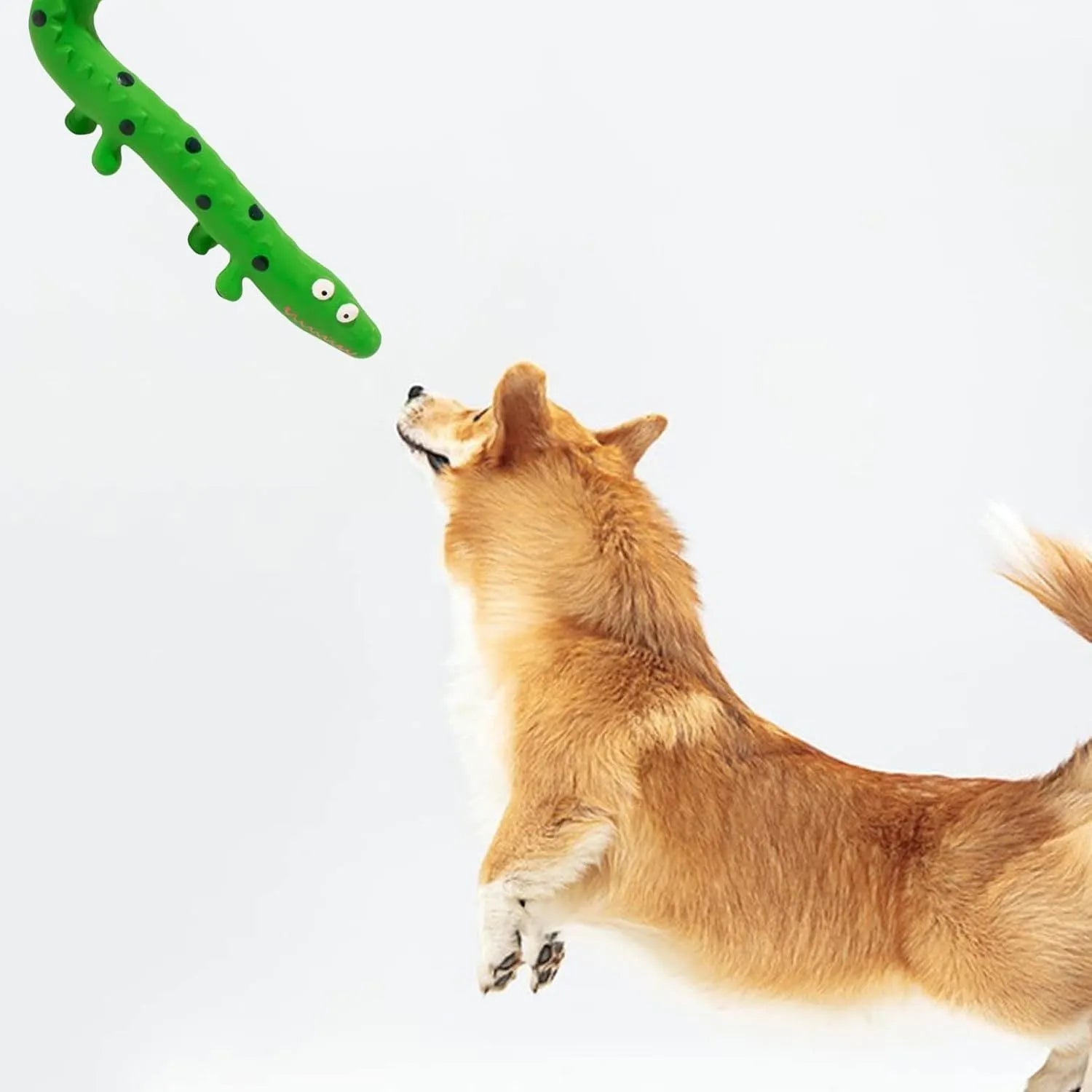 Green lizard-shaped squeaky dog chew toy for aggressive chewers.