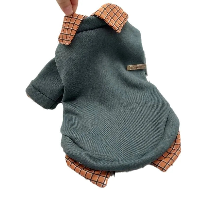 Grey dog wearing thin velvet sweater with detachable hoodie - two-piece pet clothing