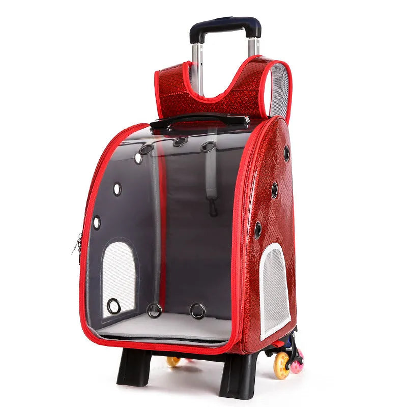 Transparent pet trolley bag with hard sides and Oxford cloth backpack for small dog transport