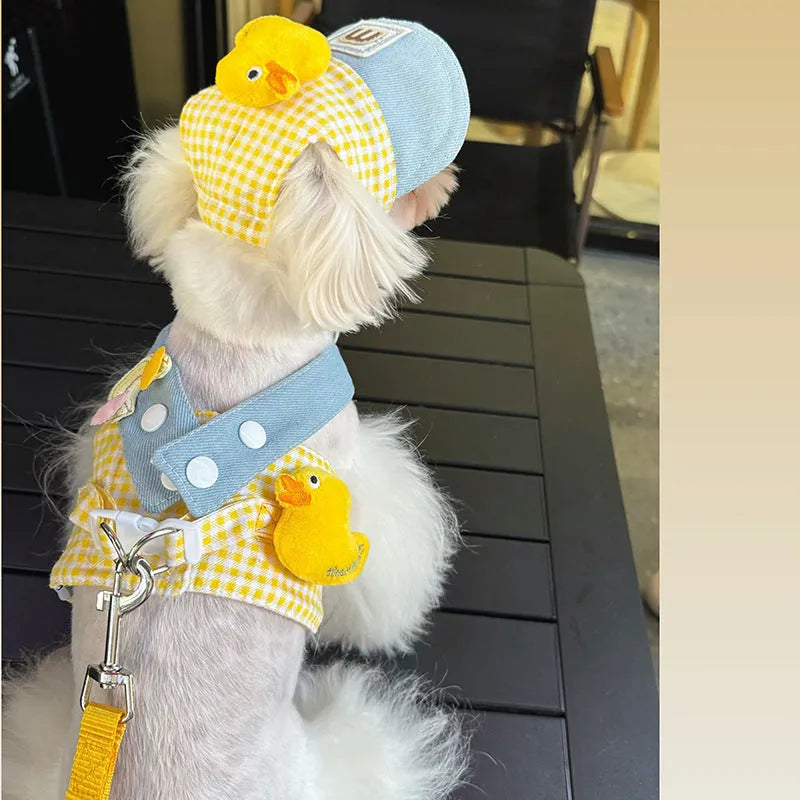 Pet clothing set with cat hat, wire rope pulling rope, and dog harness leash in various sizes