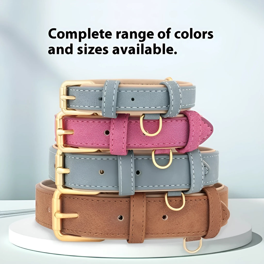 Double-layer leather dog collar and lead set in rose red, brown, or blue colours