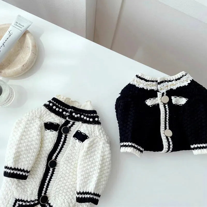 Korean style white dog sweater with pearl collar decoration on small breed dog