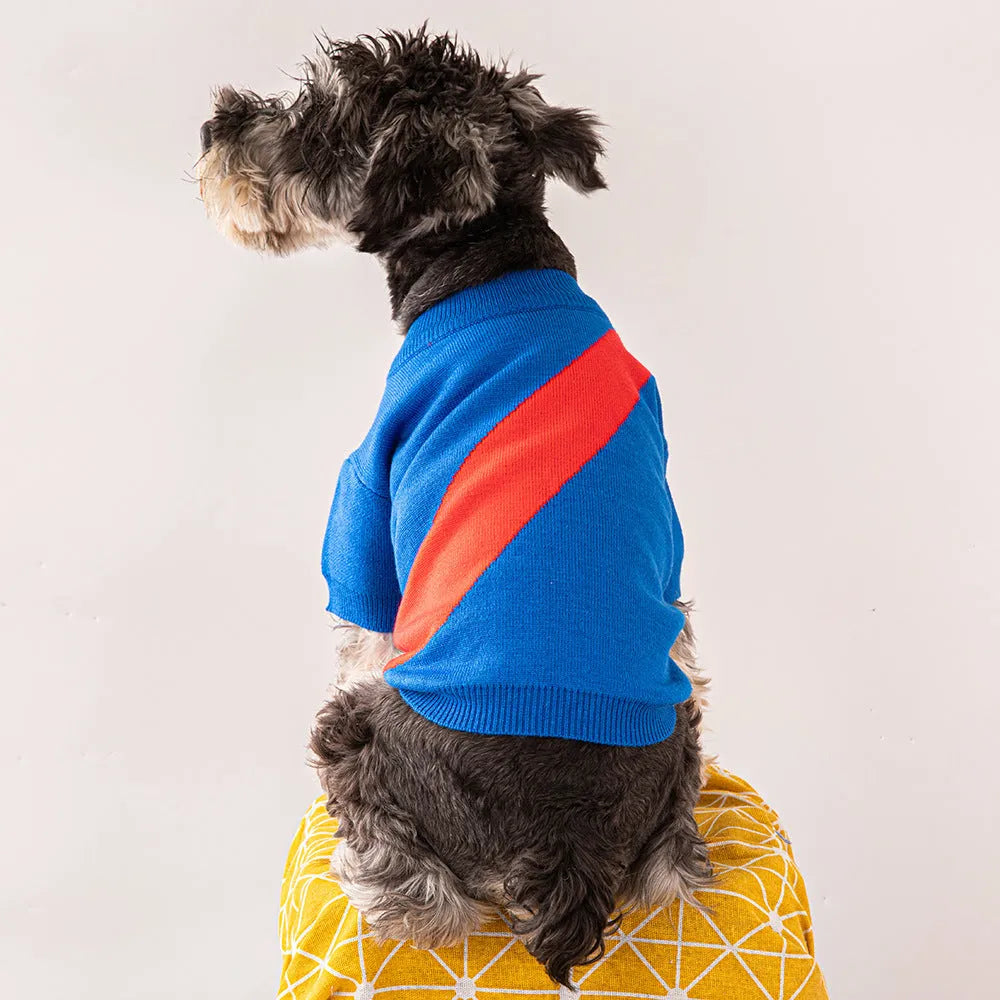 Wool dog sweater for corgis and poodles in casual style with colour options