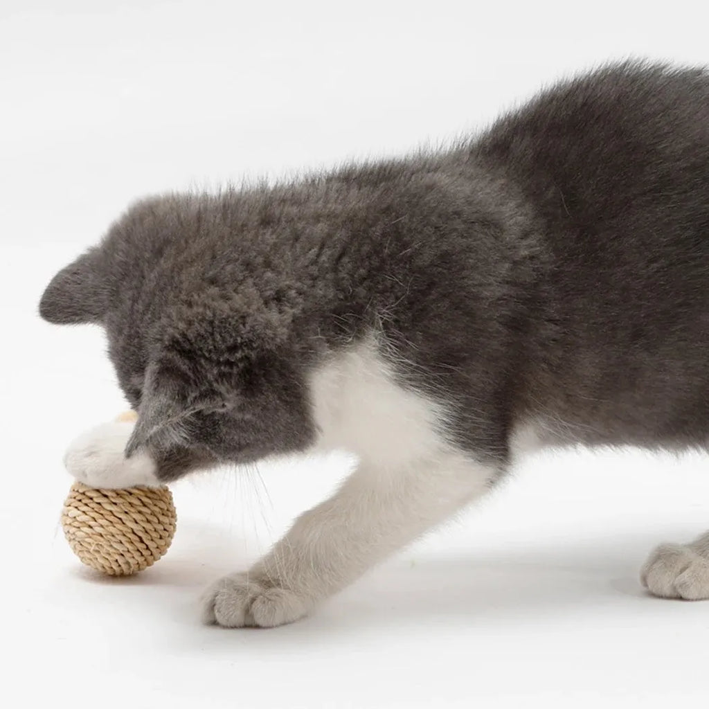 Two cat toys: hollow rattan ball and faux feather ball with bell on primary coloured background