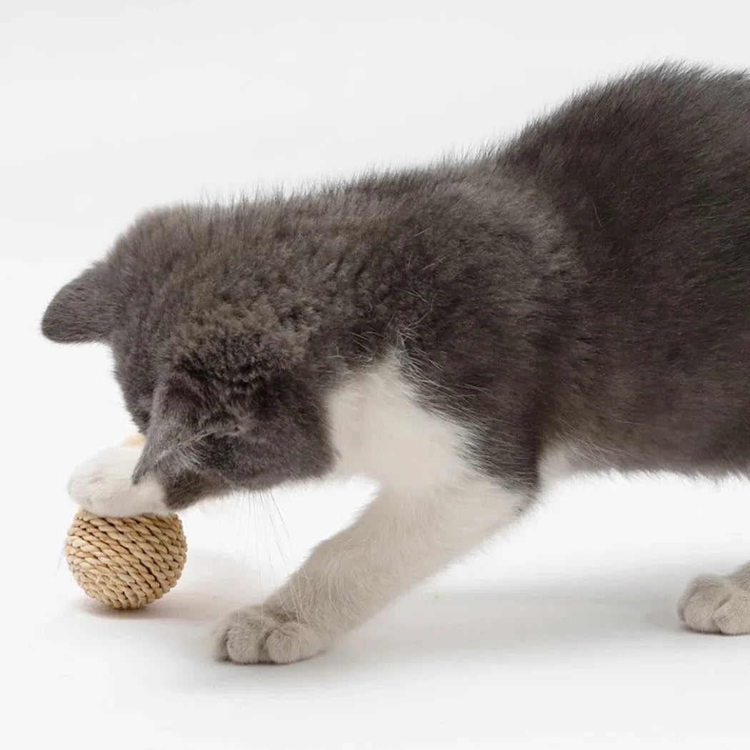 Two cat toys: hollow rattan ball and faux feather ball with bell on primary coloured background