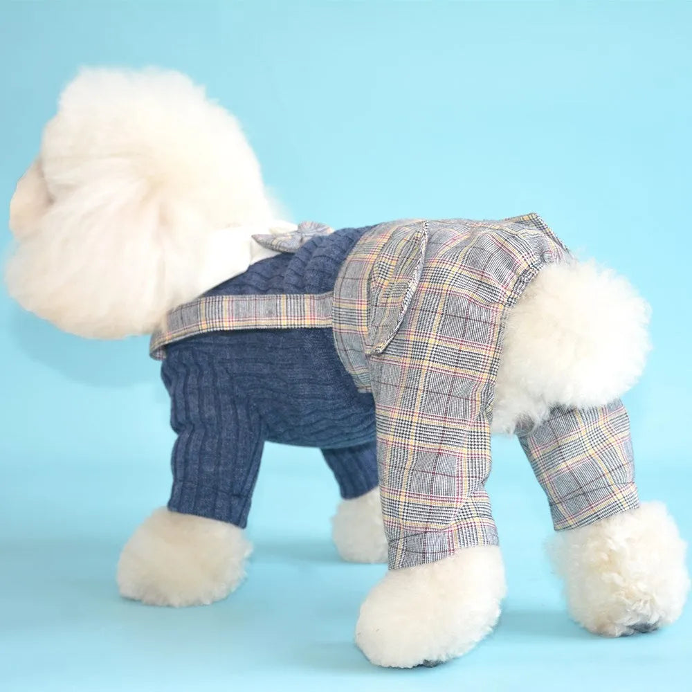 Orange and dark blue cotton dog shirt for small dogs, shown in sizes S to 2XL.