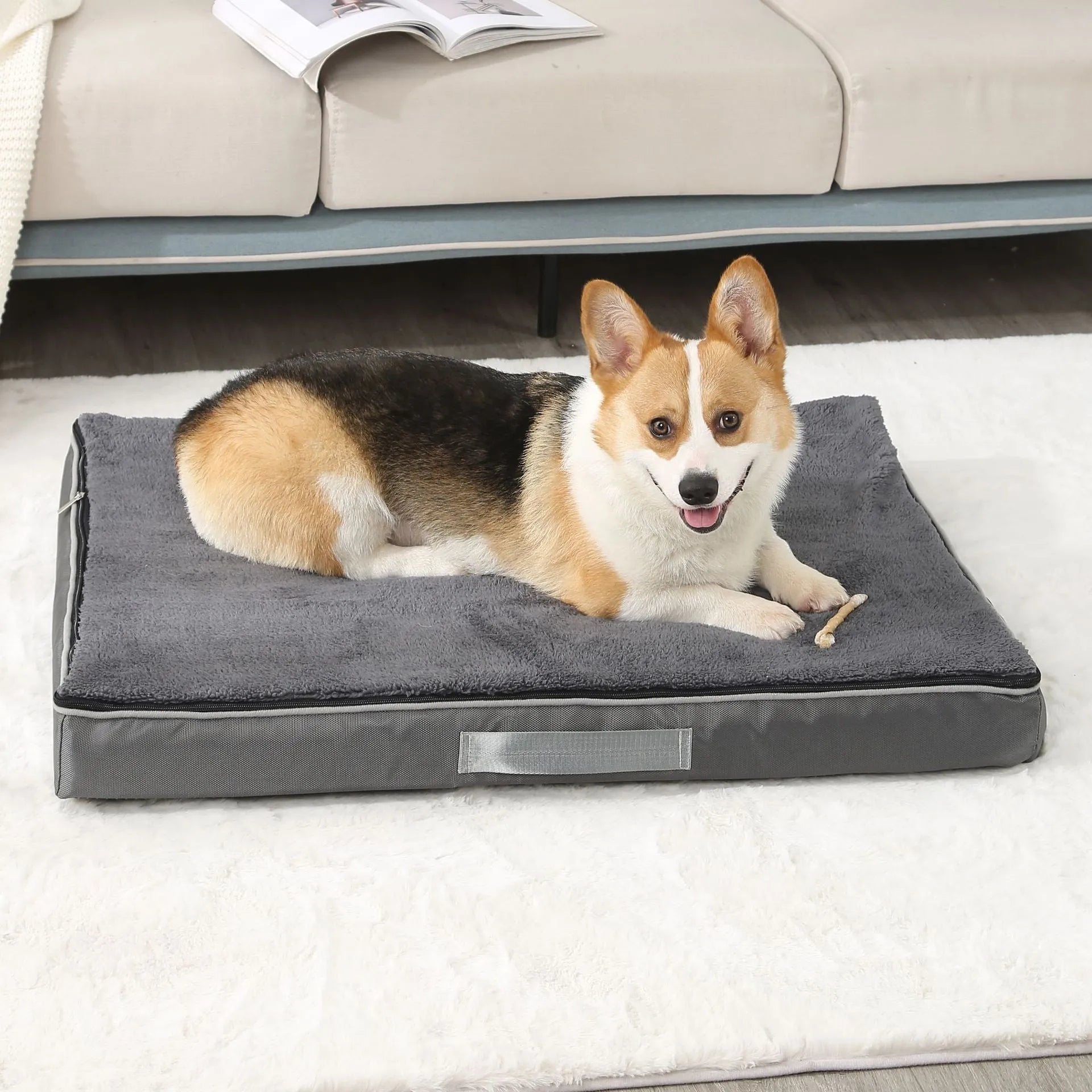 Removable washable sponge dog mat in brown, available in multiple sizes on a wooden floor.