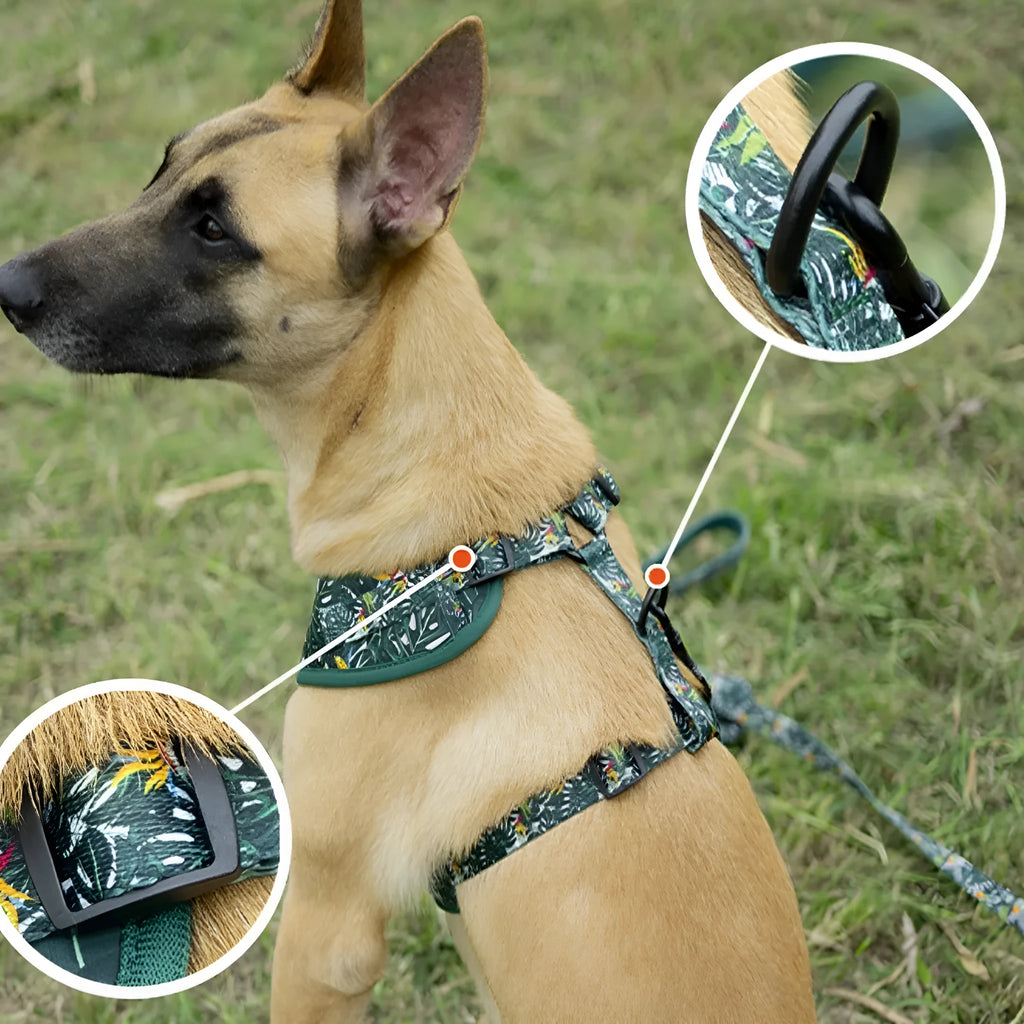 Six-piece adjustable dog harness set with vest, haulage rope, collar, waste bag, bow tie, and triangle scarf