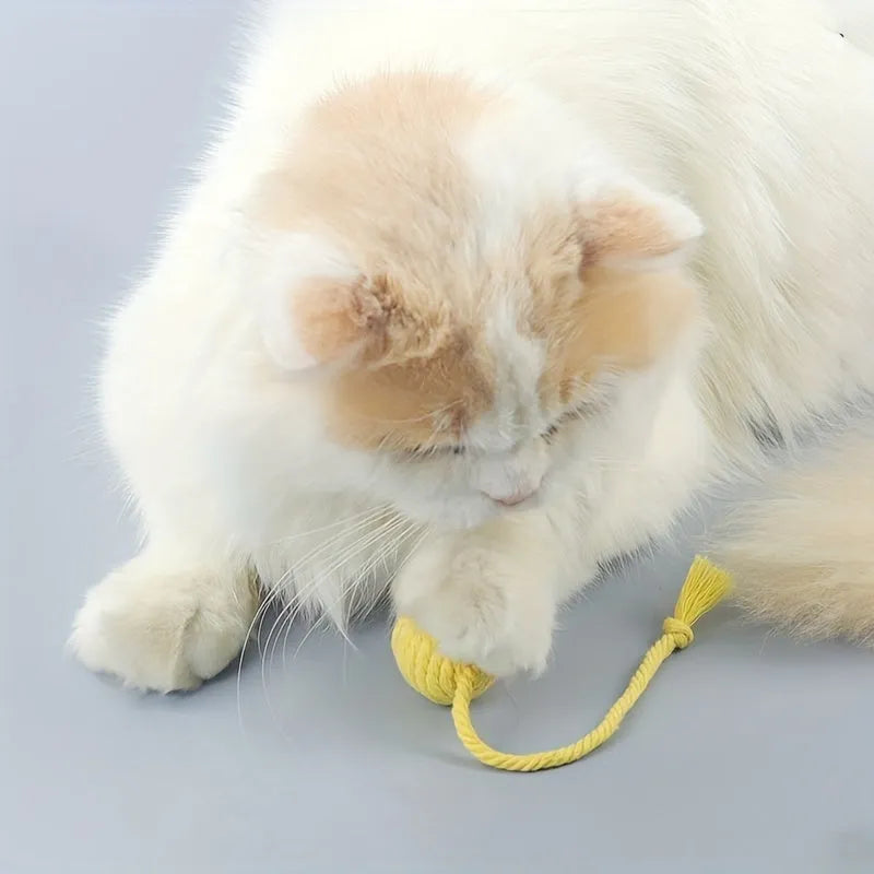 Interactive cat toy ball with rope attachment and built-in bell in green, pink, purple and yellow colours