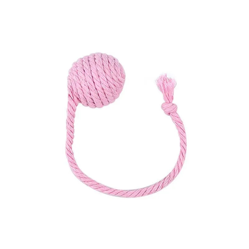 Interactive cat toy ball with rope attachment and built-in bell in green, pink, purple and yellow colours