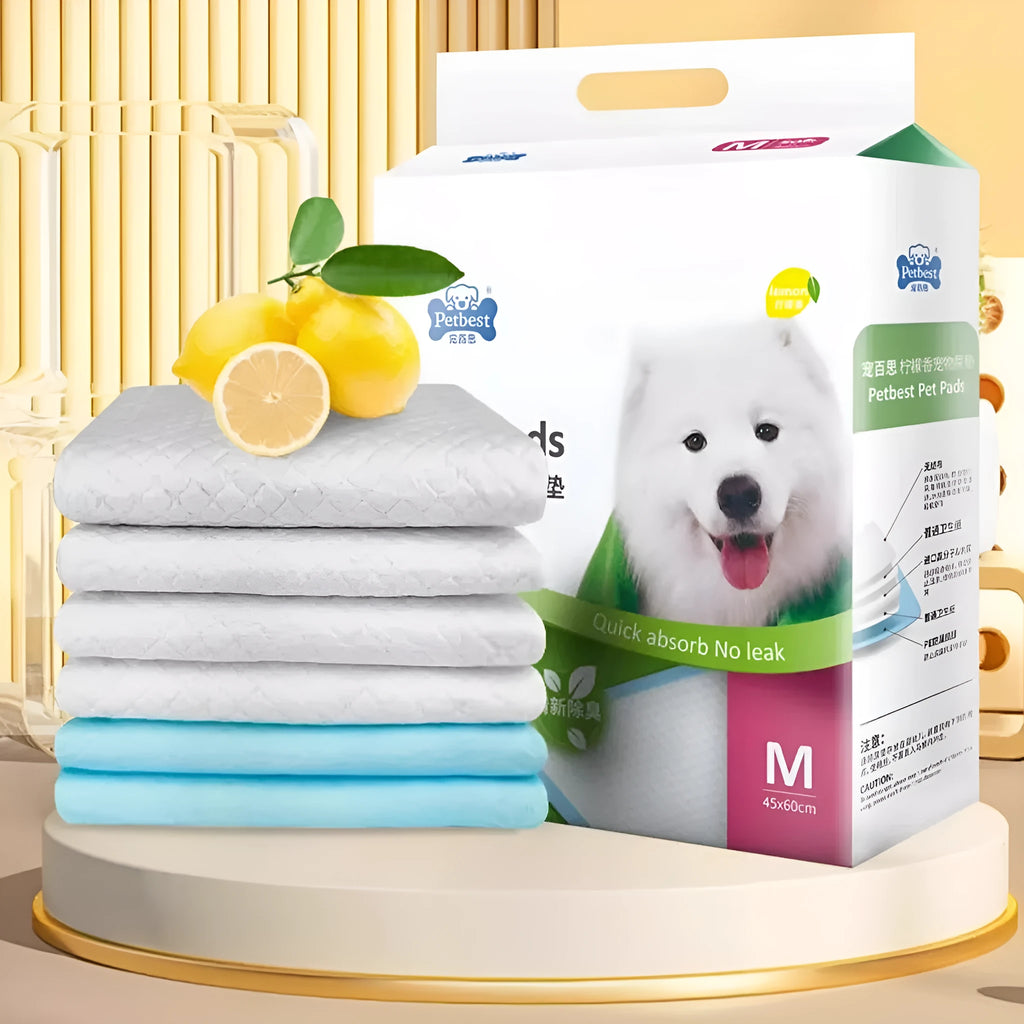 Thickened dog urine training pads showing adhesive backing and bamboo charcoal variety in multiple sizes