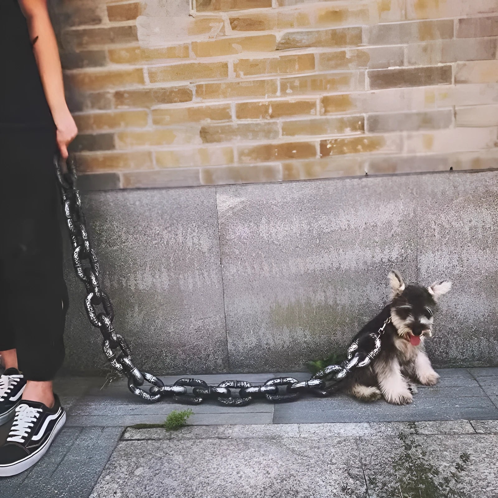 PP plastic simulation dog leash prop in bronze, antique silver, and black colours showing different lengths.