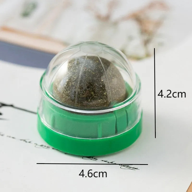 Plastic catnip ball toy in multiple colours with bite-resistant construction for dental care