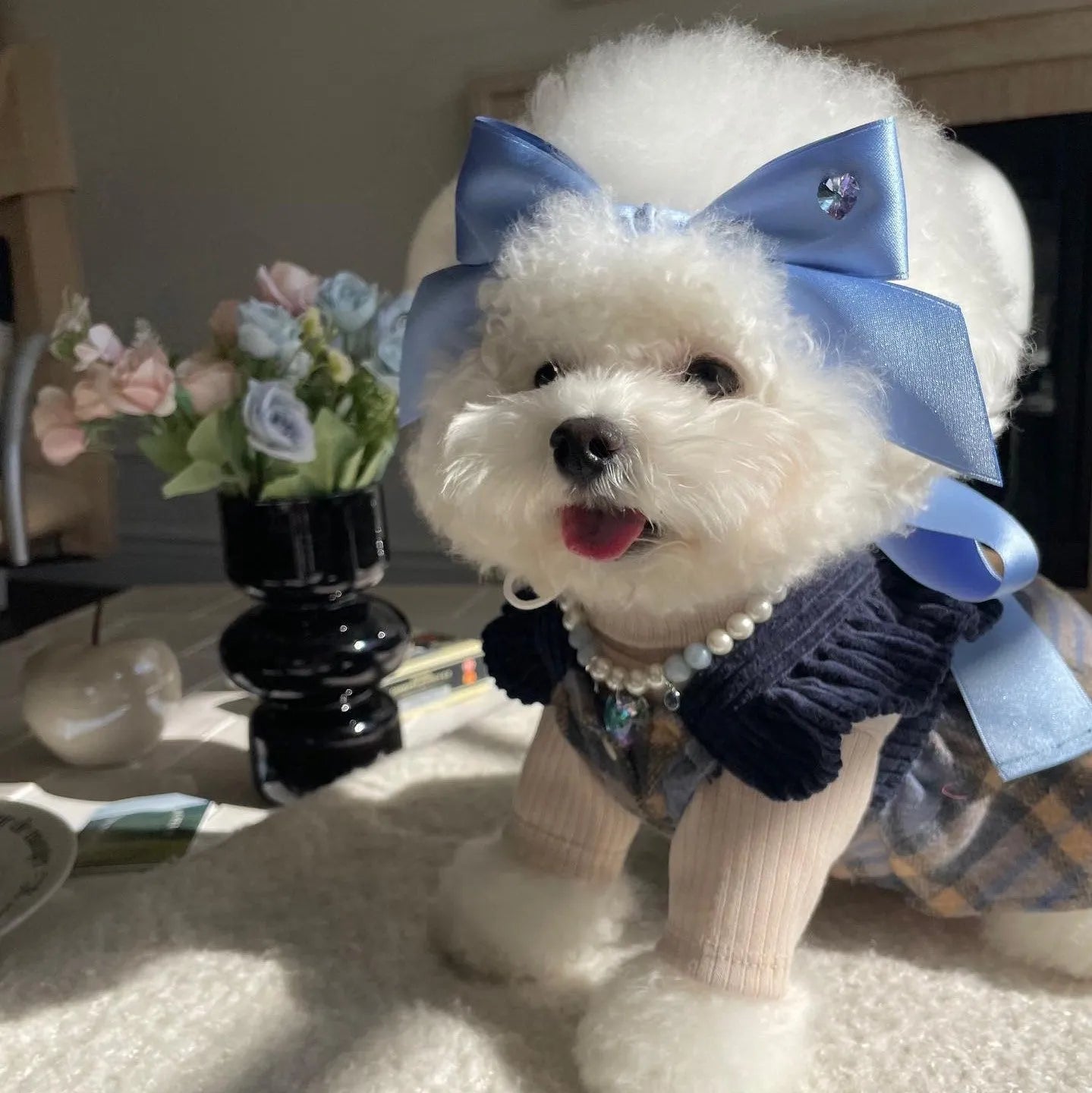Princess style dog hair band with adjustable bow on canine model, showing polyester cotton jacquard construction