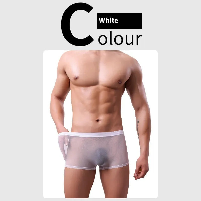 Men's low-waist mesh boxer briefs in various colours on a white background