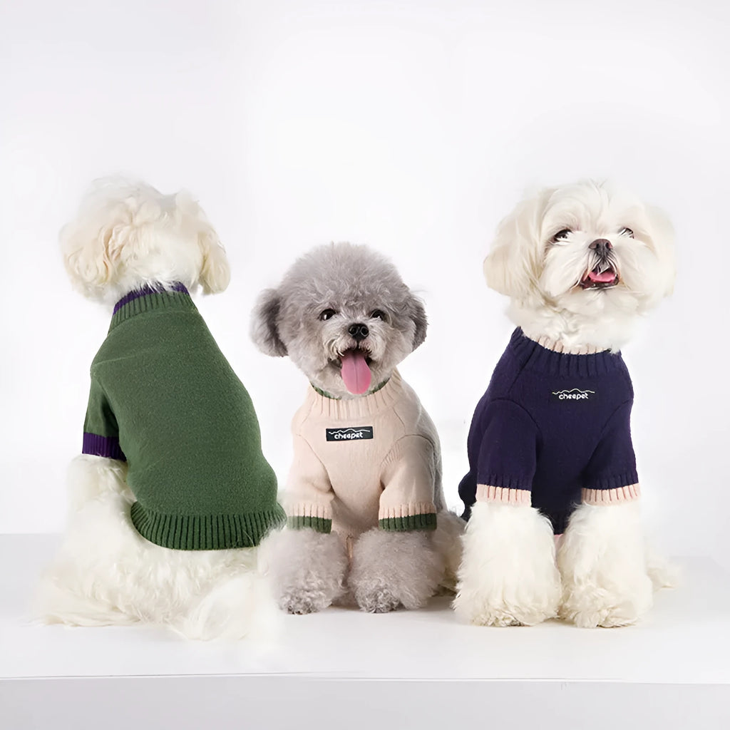 Two-leg pullover pet sweater in British-style knit with contrast colour, wool blend material for dogs.