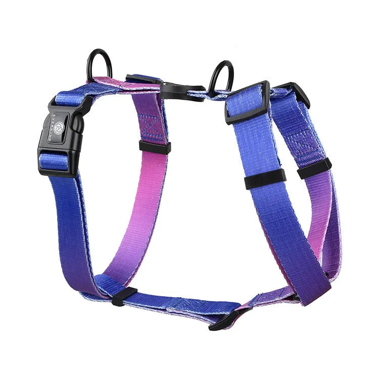 Gradient colour pet harness with adjustable chest strap in four pattern options