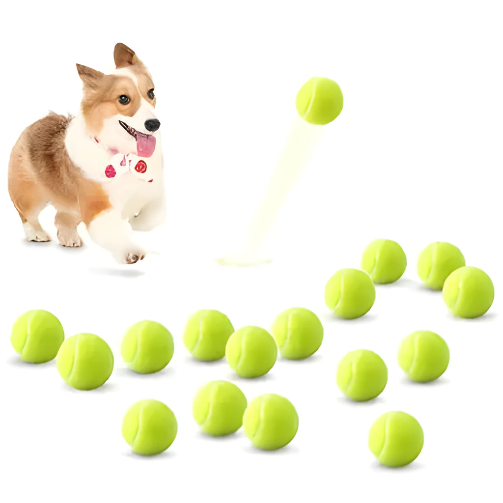 Bright coloured, bite-resistant rubber tennis ball for dogs, 6.3 cm in diameter.