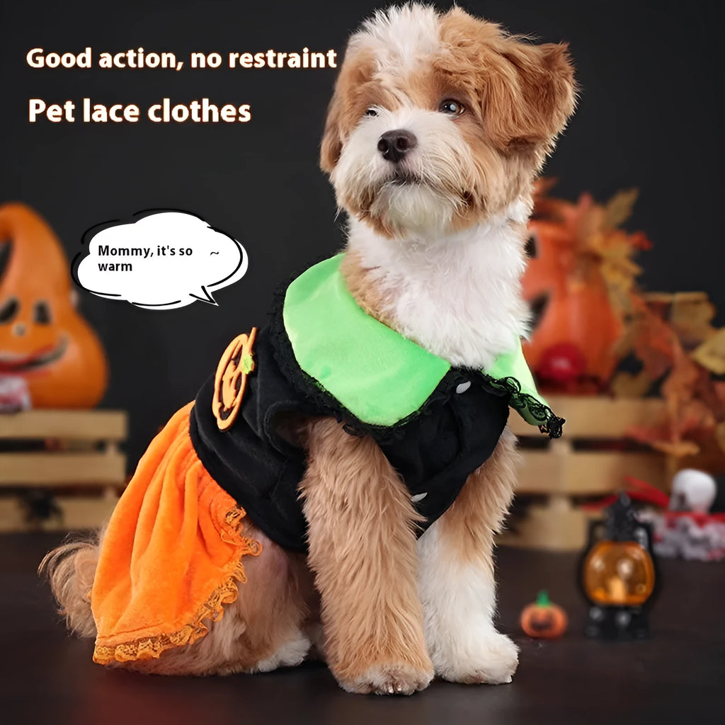 Halloween pet costume with pumpkin skirt and sweater designs in crystal velvet material