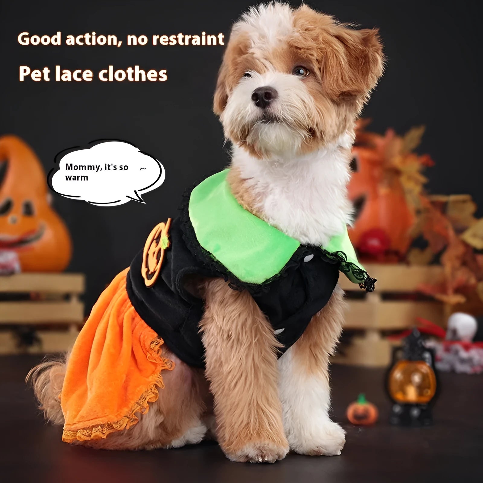Halloween pet costume with pumpkin skirt and sweater designs in crystal velvet material