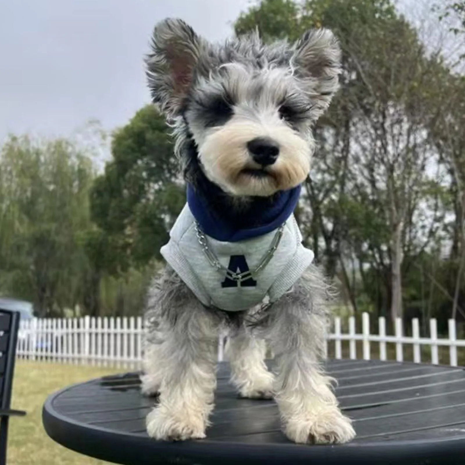 Blue and grey white pet hoodie sweater with reflective letters for cats and dogs in slim-fitting polyester