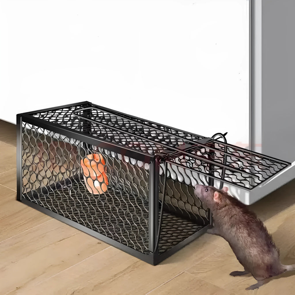 Automatic mouse trap cage in small, medium, and large sizes with metal and plastic construction