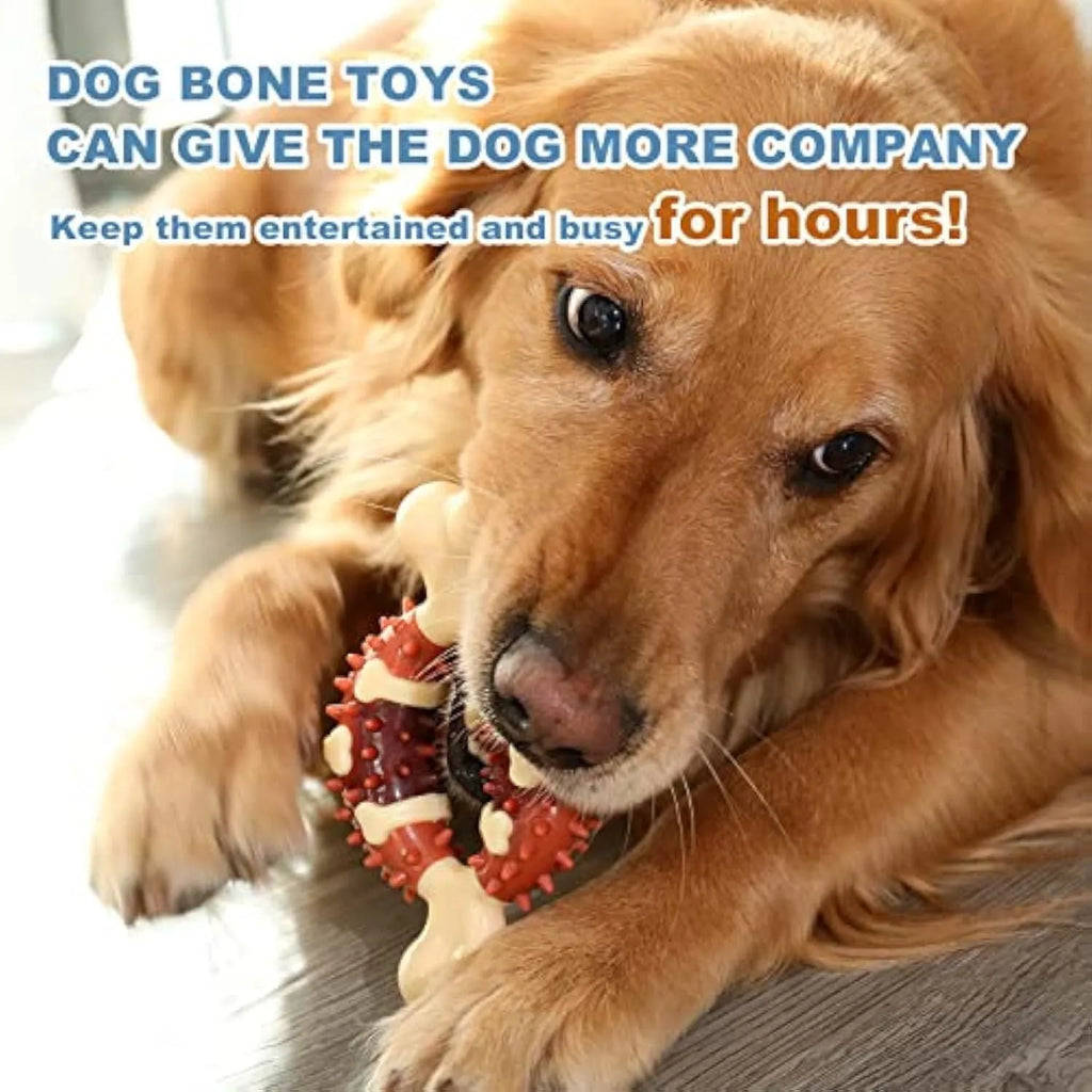 Natural rubber bone-shaped dog molar toy for teeth grinding in two sizes