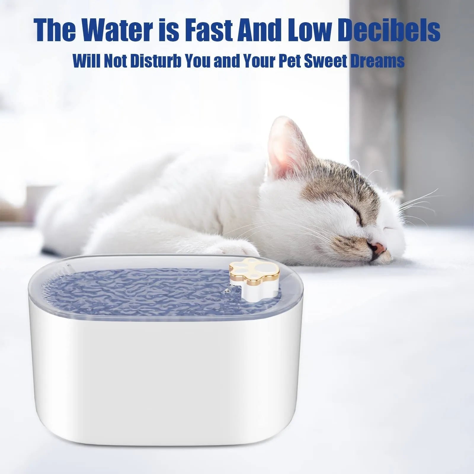3L automatic pet water fountain in Berlin blue colour with LED light and quiet pump
