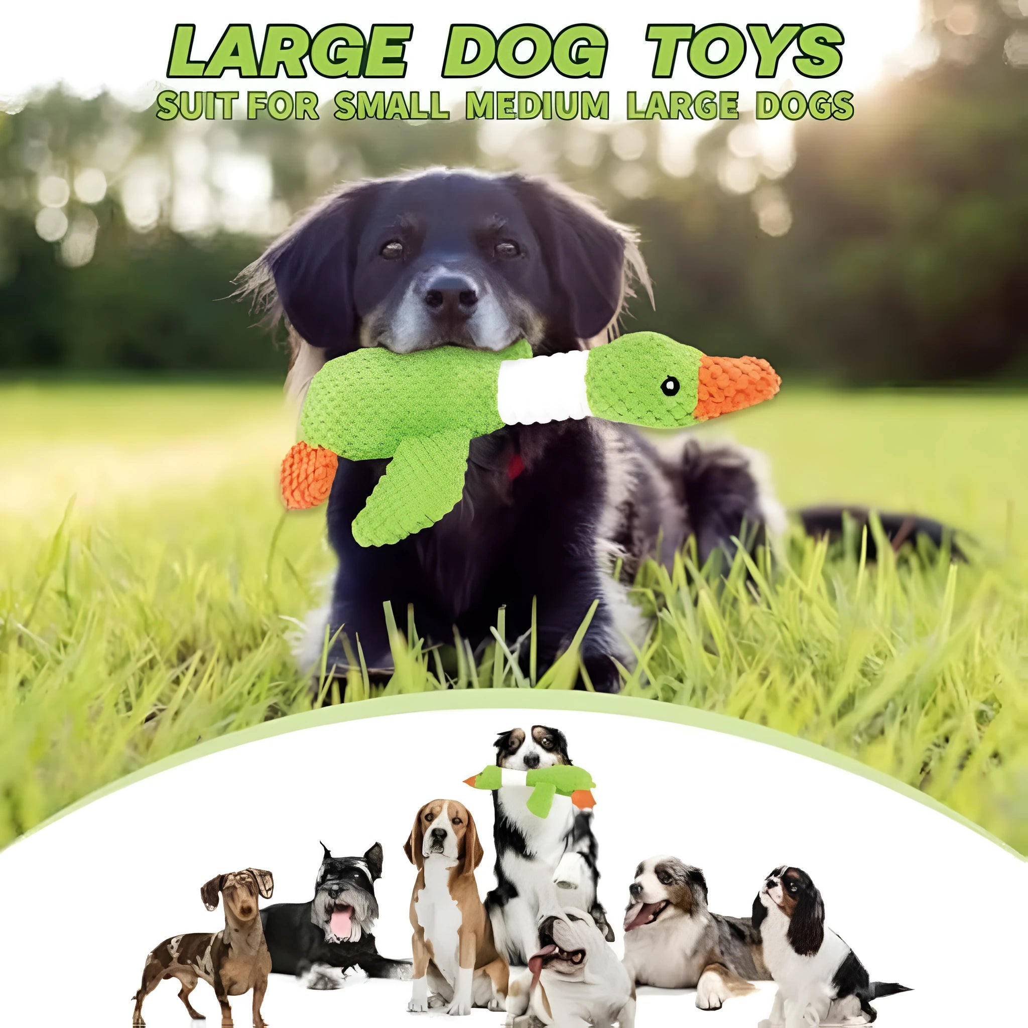 Blue duck-shaped plush dog toy with squeakers for chewing and play