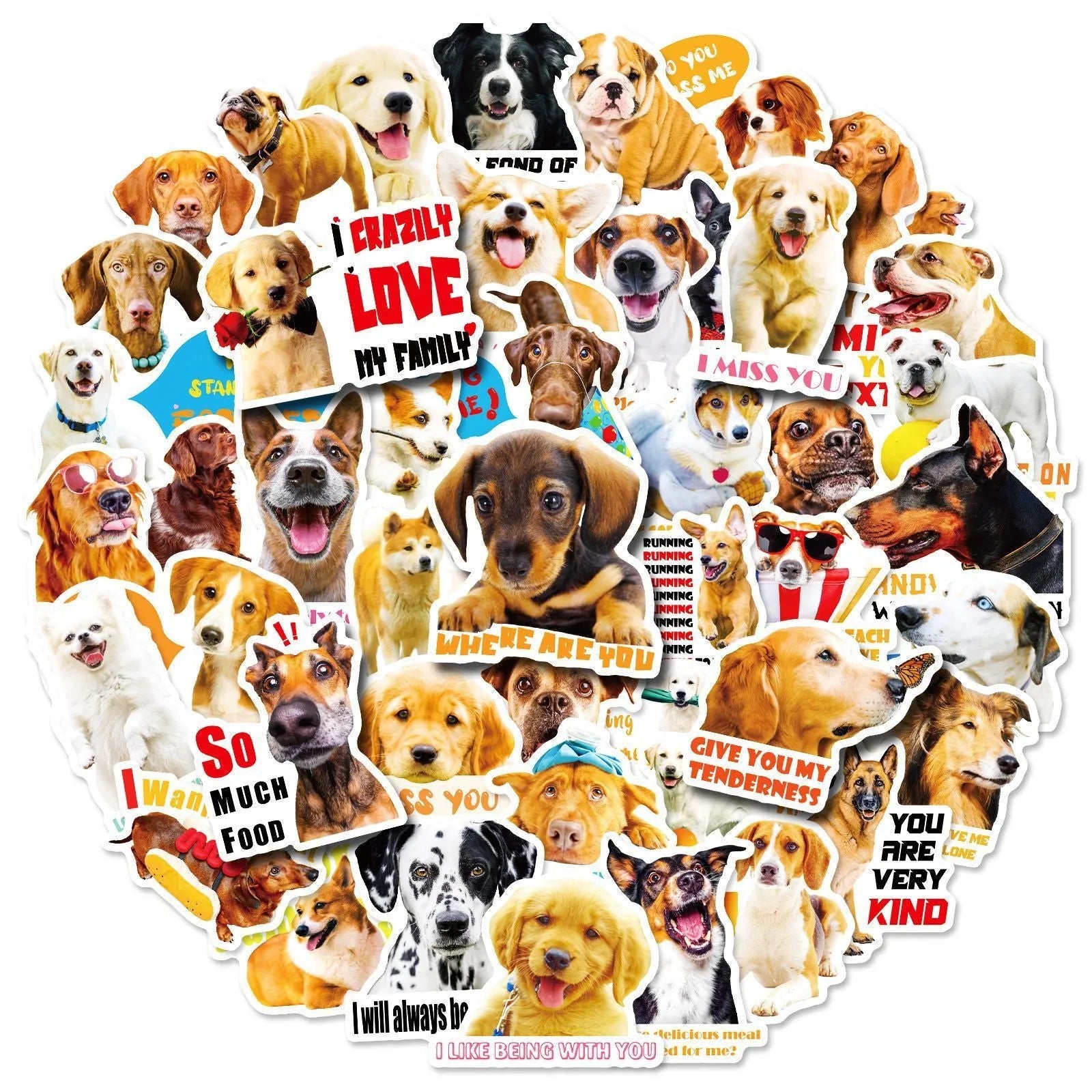 Nordic style realistic dog facial expression stickers pack showing three colour-coded sets with canine designs