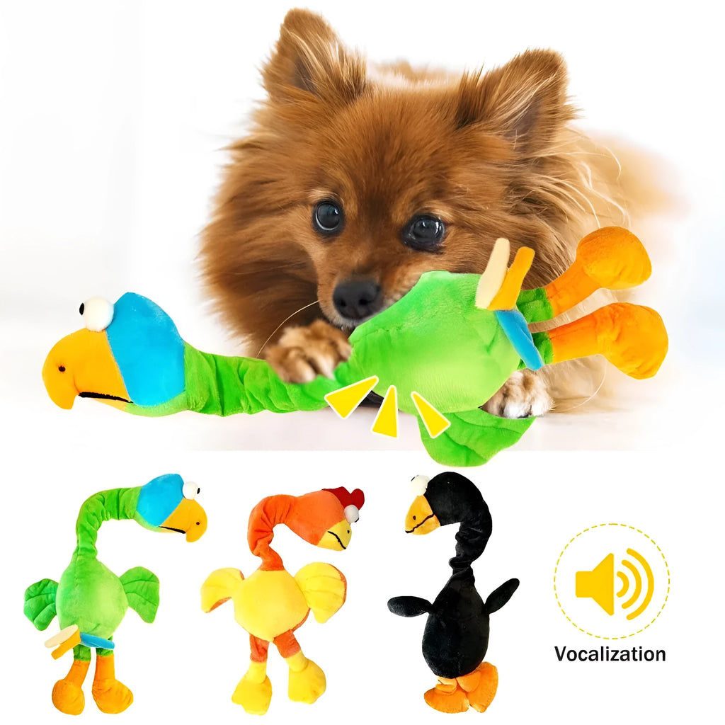 TPR rubber dog toy shaped like a chicken with black, green, and orange colour options.