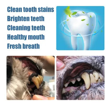 Pet teeth whitening pen set with two 3ml pens and dental brushes for dog and cat dental care