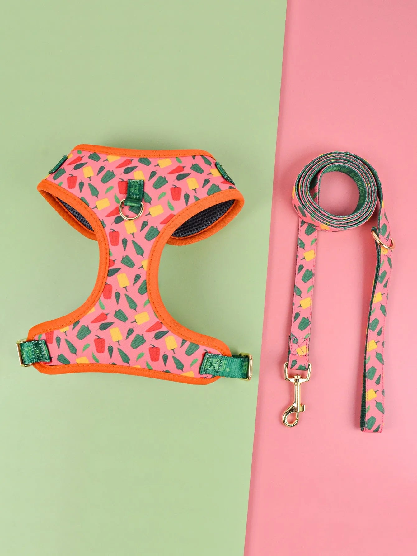 Colourful pet haulage rope with chest-back harness design for medium and large dogs