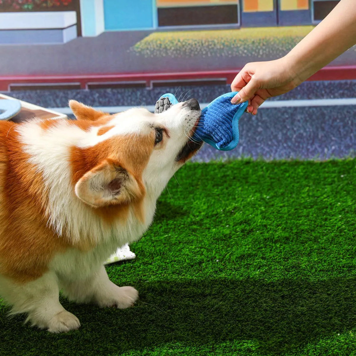 Blue tough plush teddy dog toy with a bone-shaped squeaker and soft corn fleece lining for bite-resistant play.