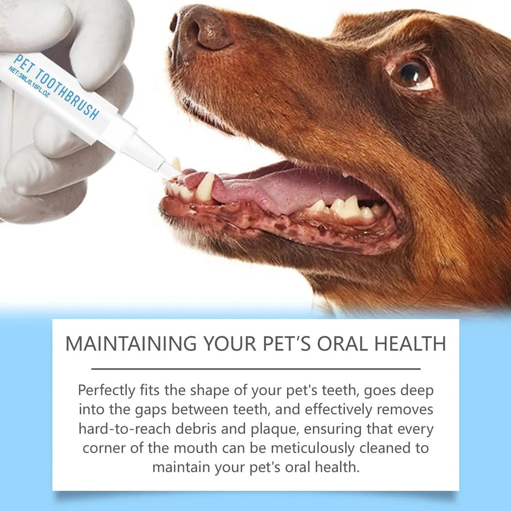 Pet toothbrush pen with soft silicone bristles for dental care of dogs and cats