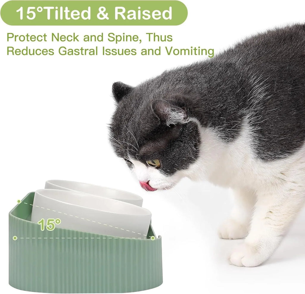 Green ceramic raised cat bowls with 15 degree tilt and non-slip base for spill-proof feeding