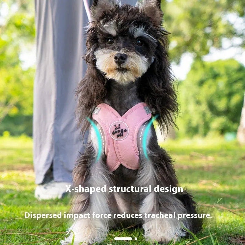 Polyester dog vest and matching hand holding rope in a choice of blue, green, pink, or yellow.