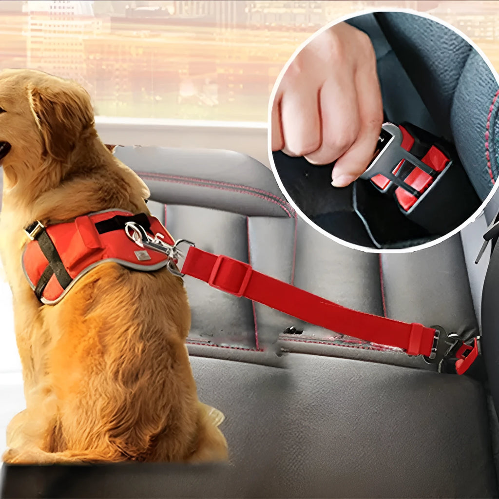 Dog traction belt with telescopic rope in black, on a green background