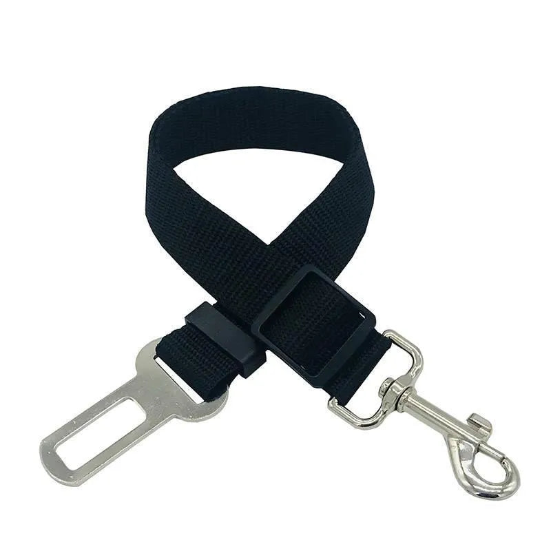 Dog traction belt with telescopic rope in black, on a green background