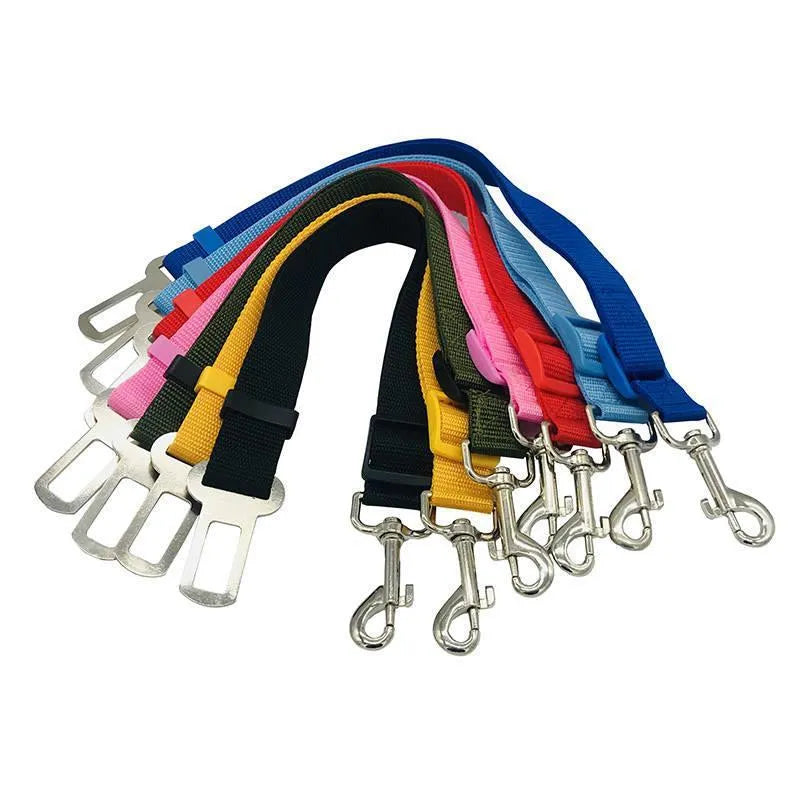 Dog traction belt with telescopic rope in black, on a green background