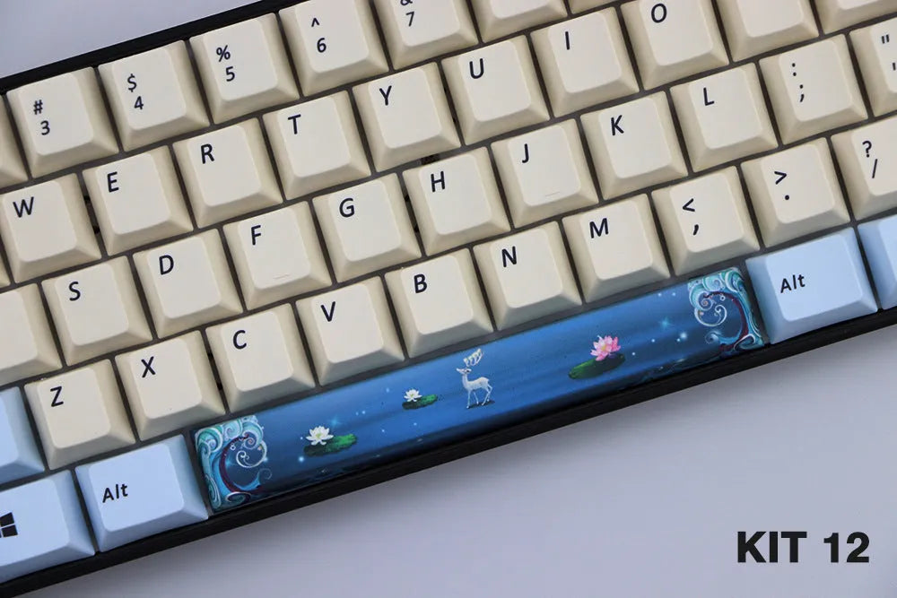 Single PBT plastic 6.25U space bar keycap for mechanical keyboards, shown in a selection of colours with dye-sublimated outline design.