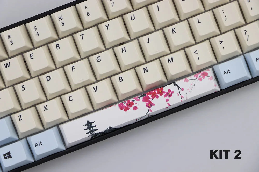 Single PBT plastic 6.25U space bar keycap for mechanical keyboards, shown in a selection of colours with dye-sublimated outline design.