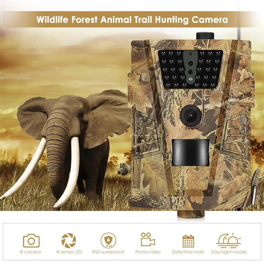 Orchard surveillance anti-theft camera with compact design showing lens and infrared LEDs