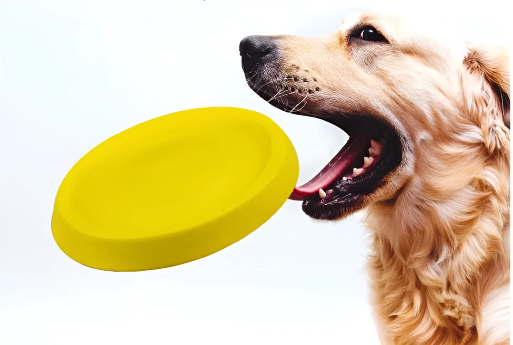 Yellow EVA plastic dog throwing ball for fetch training and interactive play sessions