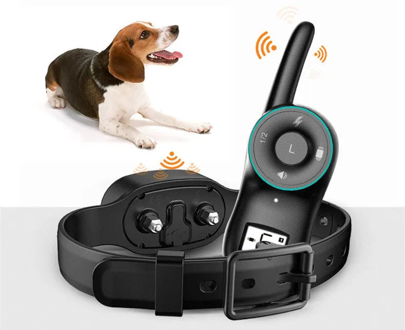 Black and orange remote-controlled dog training collar with a receiver unit and a waterproof, rechargeable design.