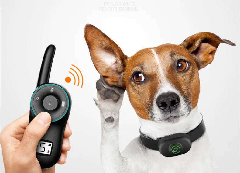 Black and orange remote-controlled dog training collar with a receiver unit and a waterproof, rechargeable design.