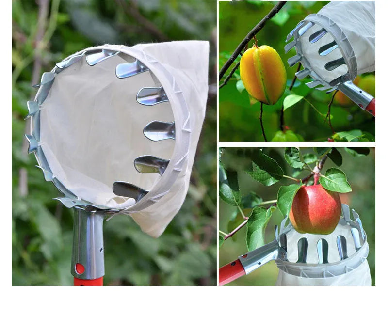 Fruit picker garden tool with steel frame and cloth catcher bag for harvesting tree fruits