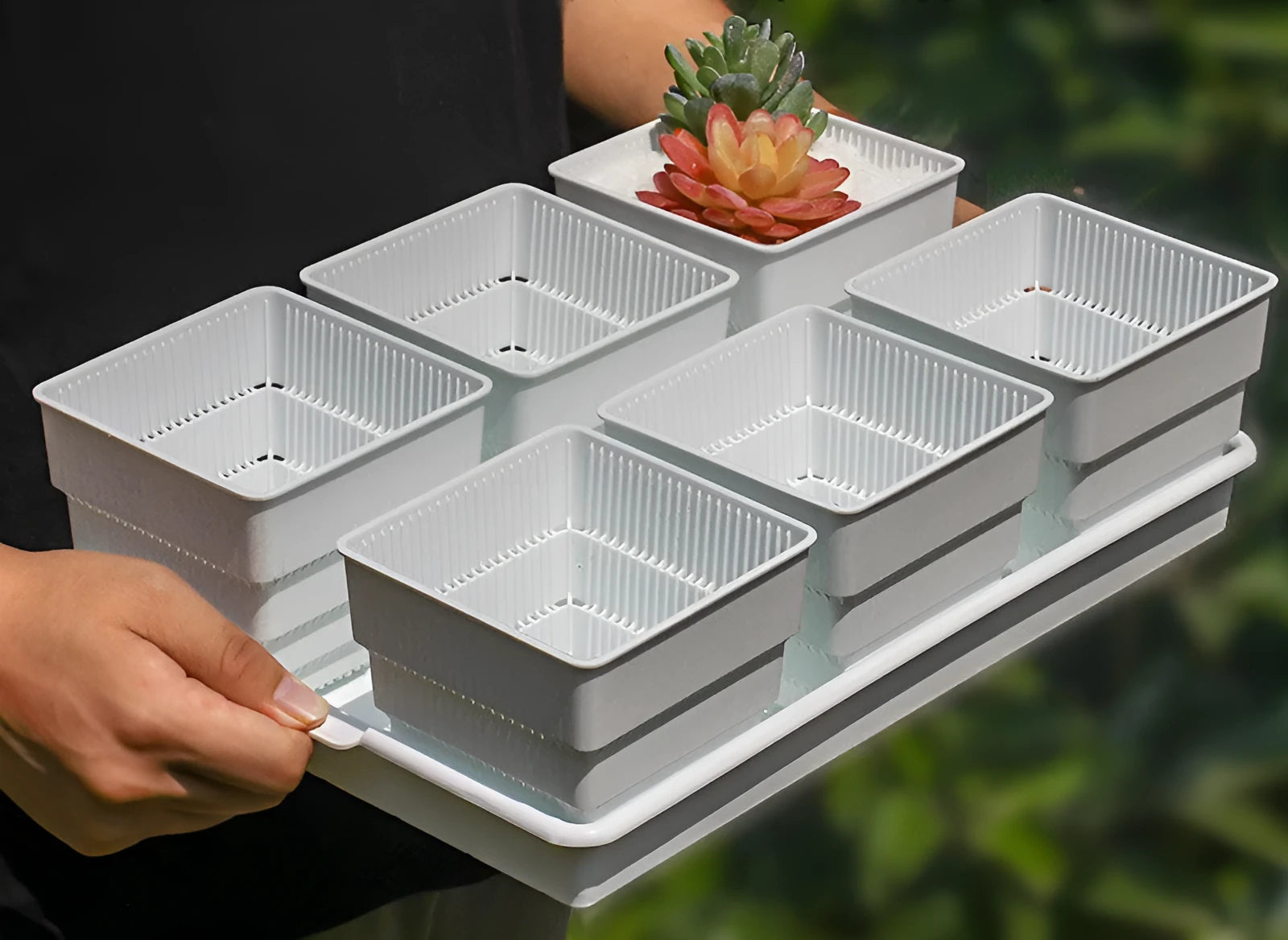 Black and white modular resin flower pots and tray for succulents and home gardening.