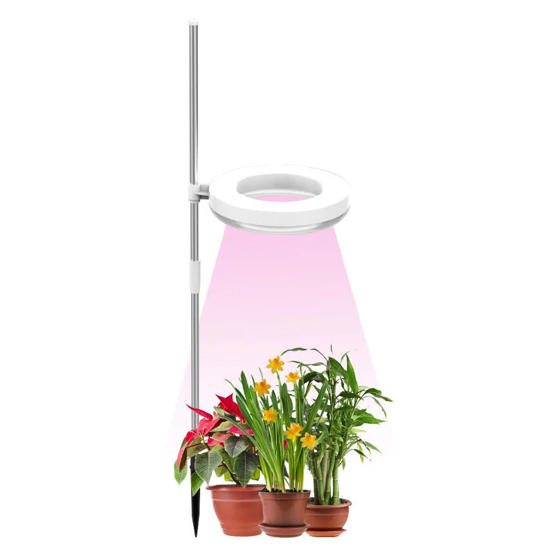 Compact white full spectrum LED plant growth light lamp on a wooden desk next to small potted succulents.