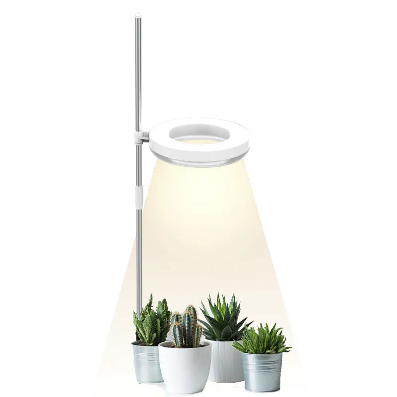 Compact white full spectrum LED plant growth light lamp on a wooden desk next to small potted succulents.